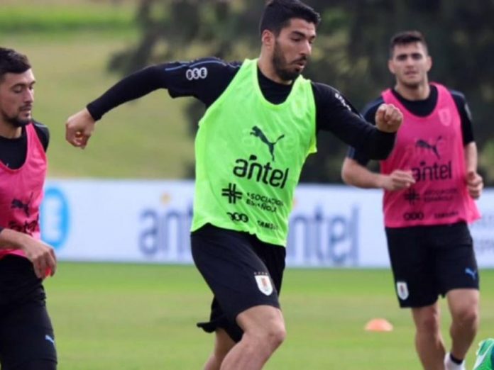 Luis Suárez