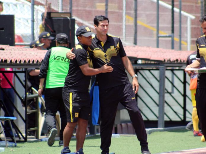 Jorge Araujo