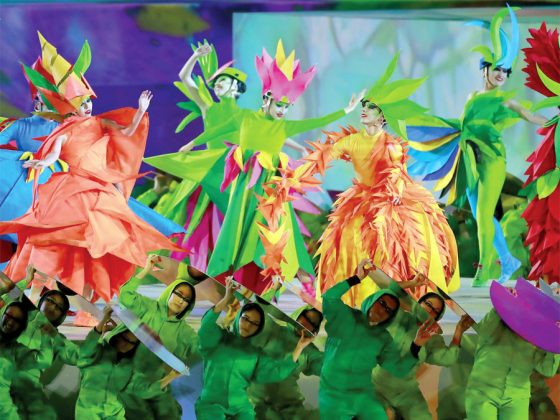 Danzas con vestuarios con mucho colores se presentaron en la ceremonia de los Juegos Parapanamericanos. Un show espectacular.