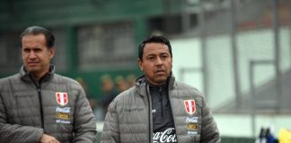 Nolberto Solano