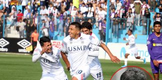 Universidad San Martín