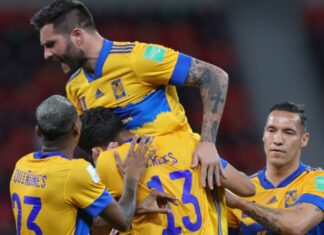 Tigres de bengala