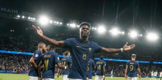 Francia 2-0 Irlanda