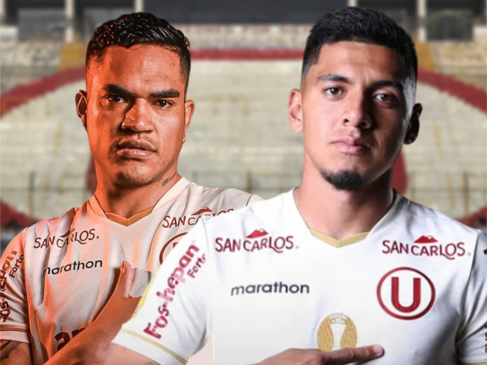 4-1-fotor-2025082595014