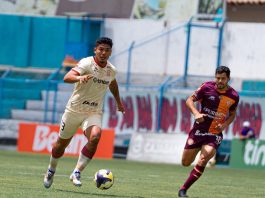 ¡CHANKAS QUIERE RECUPERAR TERRENO!