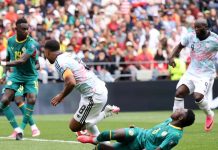 ¡BÉLGICA SE IMPONE ANTE LOS LEONES!